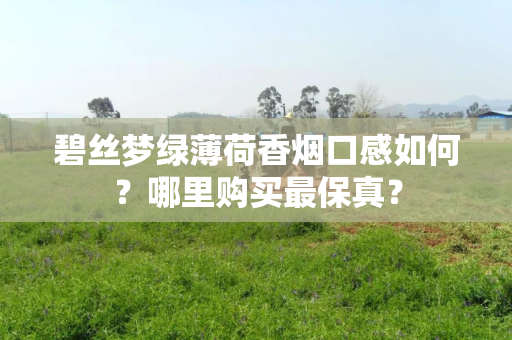 碧丝梦绿薄荷香烟口感如何？哪里购买最保真？